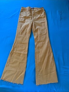 Judy Blue Camel Flare Jeans